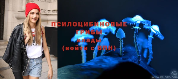 МДПВ Заволжье