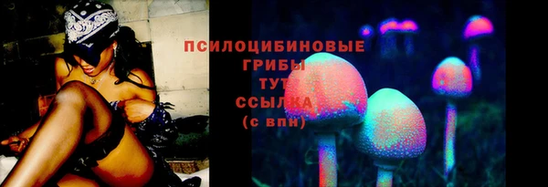 стаф Зеленодольск