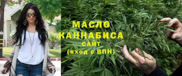 мдпв Заводоуковск