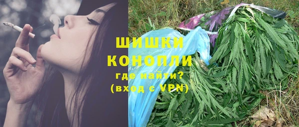 мдпв Заводоуковск