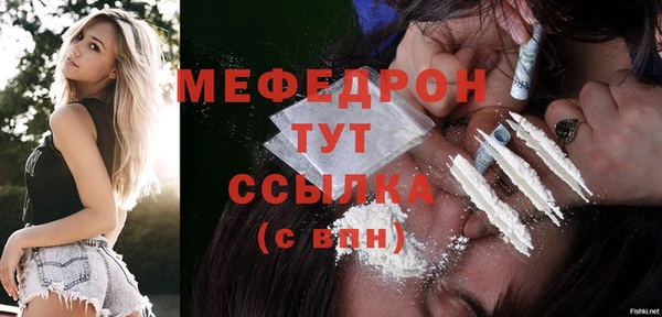 мдпв Заводоуковск