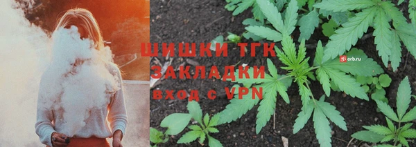 мдпв Заводоуковск