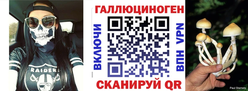 Купить где  Мышкин  Псилоцибиновые грибы MAGIC MUSHROOMS 