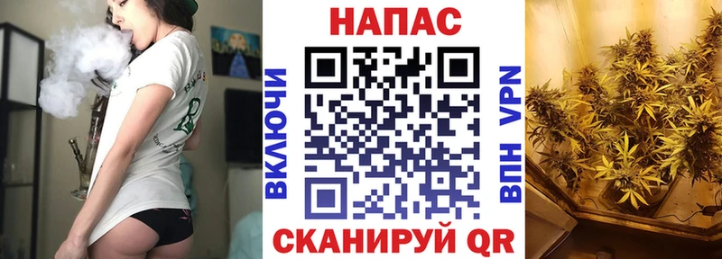 Канабис MAZAR Мышкин